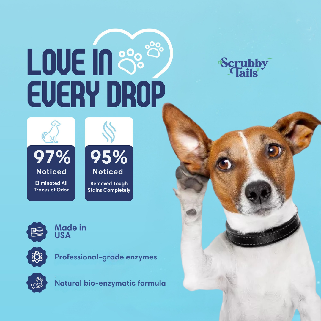 Pet Stain & Odor Eliminator - 32 Oz