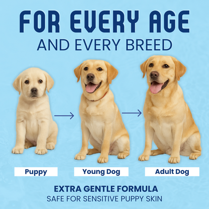 Natural Oatmeal Dog & Puppy Shampoo For Itchy Skin Relief