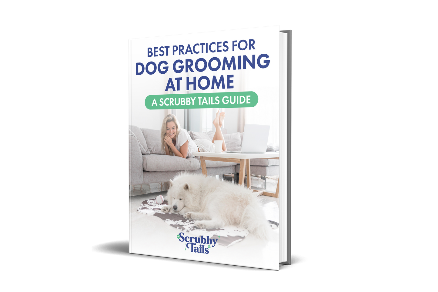 Best Practices for Dog Grooming At Home