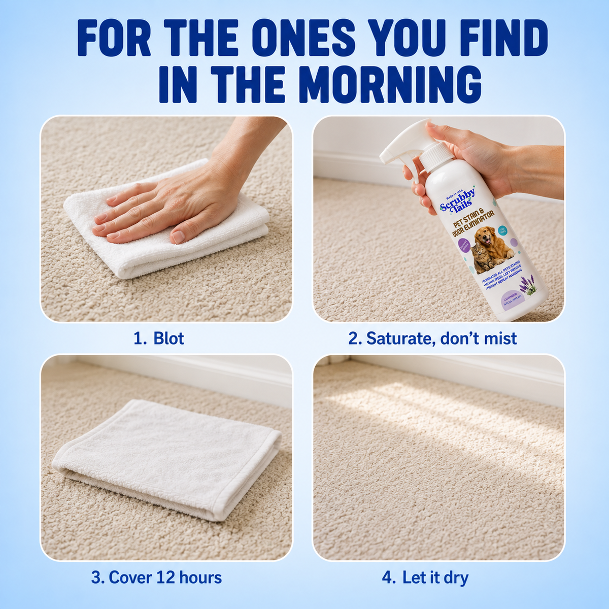 Pet Stain & Odor Eliminator - 16 Oz